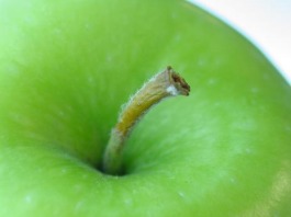 Tarte aux pommes traditionnelle (ou Apple pie)